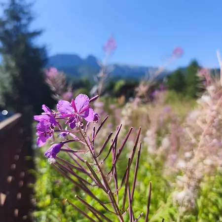 Na Pocontku Zakopane
