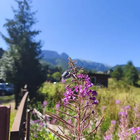 Apartman Na Pocontku